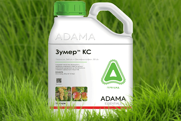 ยาซุมร์