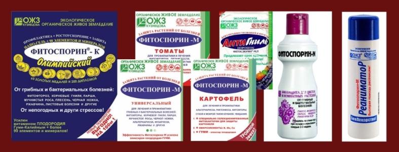 สารฆ่าเชื้อราไฟโตสปอริน