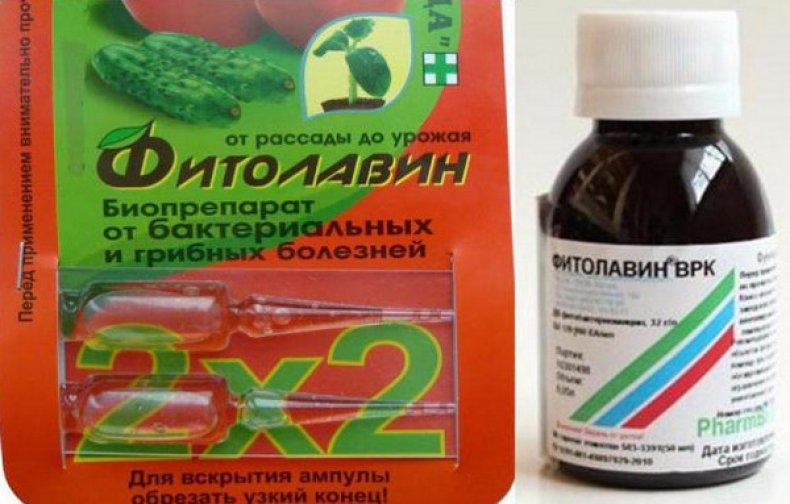 สารฆ่าเชื้อราไฟโตลาวิน