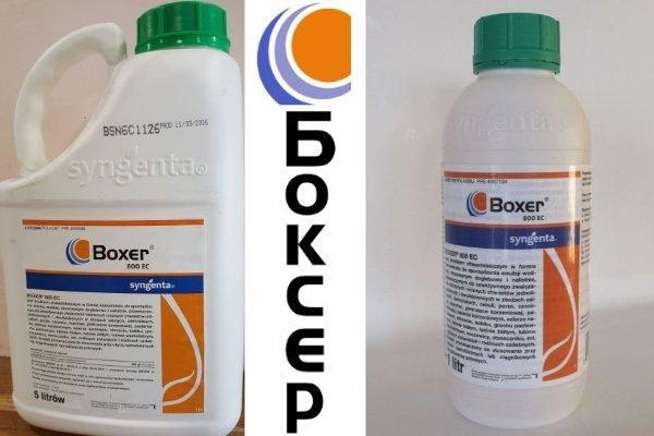 สารกำจัดวัชพืชบ็อกเซอร์