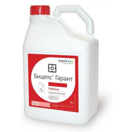 "ลูกหนูของผู้ค้ำประกัน