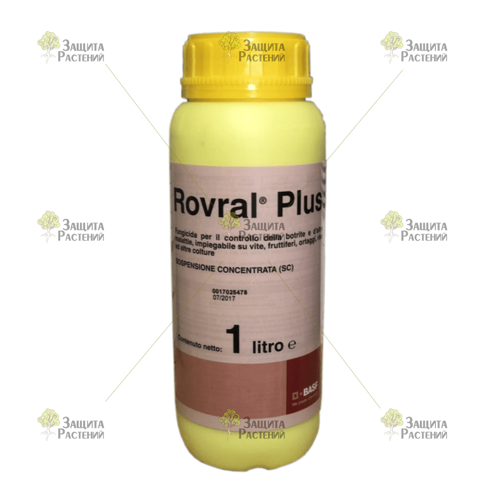 ท็อปซิน-เอ็ม