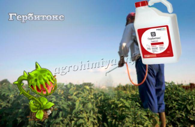 สารกำจัดวัชพืชเฮอร์บิท็อกซ์