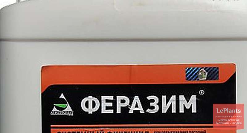 <iframe width="560" height="315" src="https://www.youtube.com/embed/T8cLCerRvdQ" frameborder="0" allow="accéléromètre; lecture automatique; média crypté; gyroscope; image dans l'image" allowfullscreen></iframe>