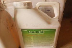 คำแนะนำในการใช้และส่วนประกอบของสารกำจัดวัชพืช Agro-Light ปริมาณและสารประกอบที่คล้ายกัน