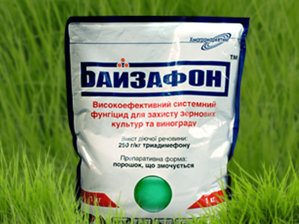 สารฆ่าเชื้อรา เบย์ซาฟอน