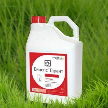 "ลูกหนูของผู้ค้ำประกัน