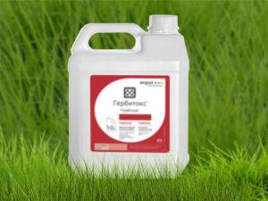 คำแนะนำในการใช้และส่วนประกอบของสารกำจัดวัชพืช Gerbitox ขนาดยาและสารที่คล้ายกัน