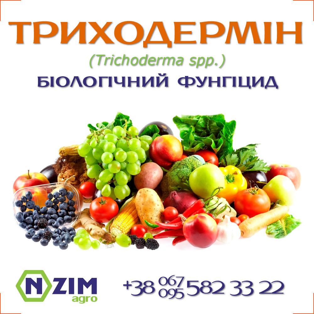 กำไรทองคำ