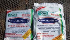 คำแนะนำในการใช้และส่วนประกอบของสารฆ่าเชื้อรา Fitosporin-M อัตราการใช้