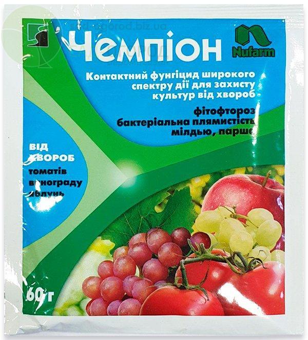 Mode d'emploi et composition du fongicide Champion, dosage et analogues