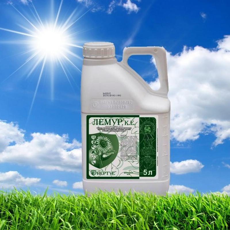 • มีพิษเล็กน้อยต่อมนุษย์และสัตว์