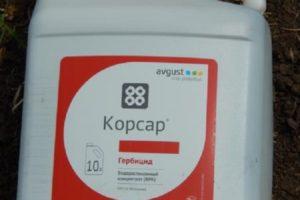 Mode d'emploi et composition de l'herbicide Corsar, dosage et analogues