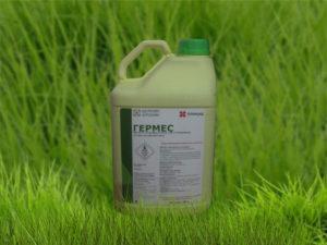 คำแนะนำการใช้ ปริมาณ และสารคล้ายสารกำจัดวัชพืชเฮอร์มีส