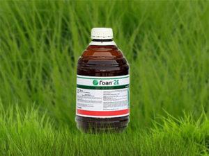 คำแนะนำในการใช้และองค์ประกอบของสารกำจัดวัชพืช เป้าหมาย ปริมาณ และสารประกอบที่คล้ายกัน