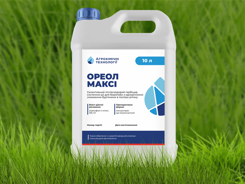 ฮาโล แม็กซี่