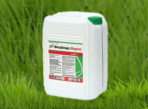 ฟูซิเลด ฟอร์เต้