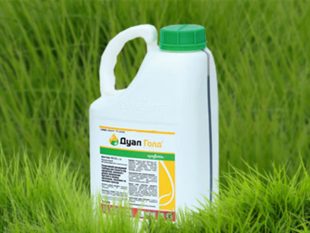 ทองคำคู่