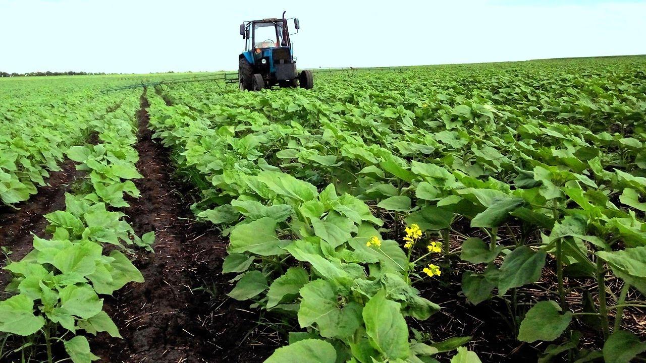 รถแทรกเตอร์และสนาม