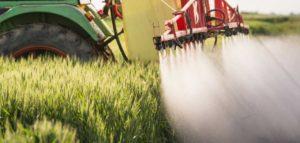 คำอธิบายและคุณลักษณะของสารกำจัดวัชพืช 7 อันดับแรกสำหรับข้าวสาลีและกฎการใช้งาน