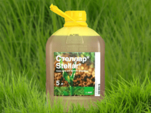 คำแนะนำในการใช้และส่วนประกอบของสารกำจัดวัชพืช Stellar ขนาดยาและสารที่คล้ายกัน