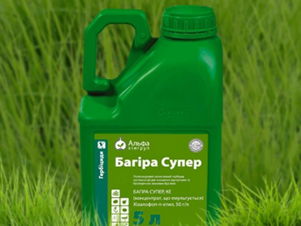 บากีร่า