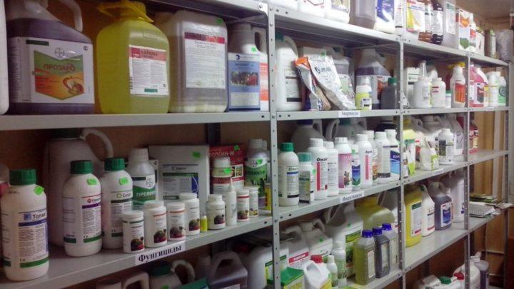 Liste des fongicides pour plantes d'intérieur