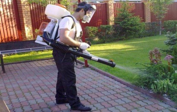 สารกำจัดวัชพืชไดแคมบา