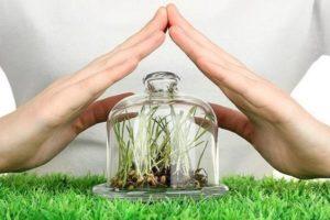 คำแนะนำในการใช้และปริมาณการใช้สารกำจัดวัชพืชแบบไม่เลือกทำลายไกลโฟเซต