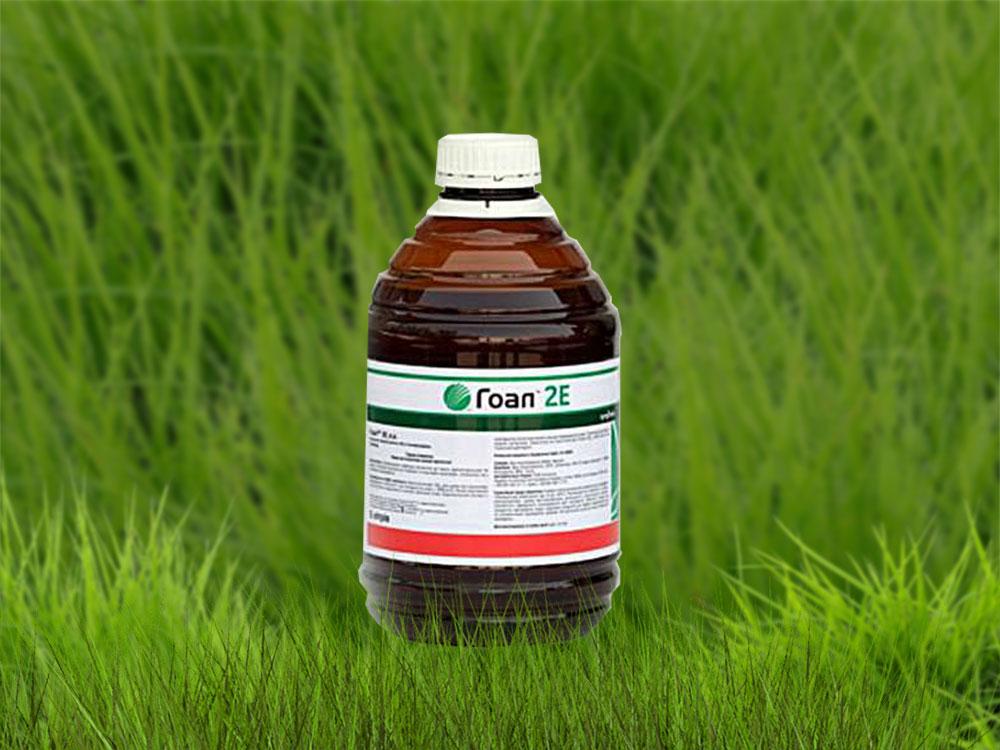 เป้าหมาย 2E