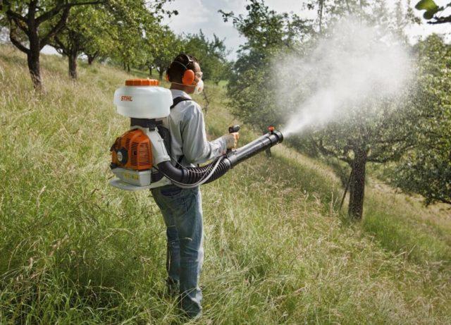 การฉีดพ่นต้นไม้