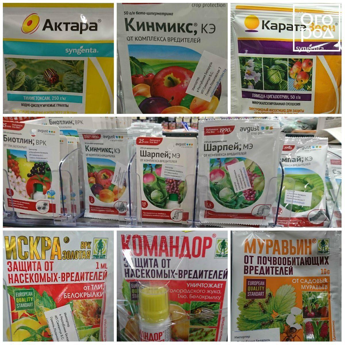 Liste des fongicides pour plantes d'intérieur