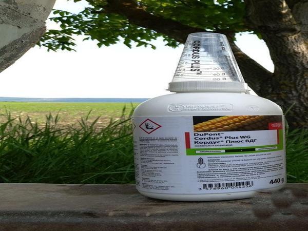 Cordus plus herbicide