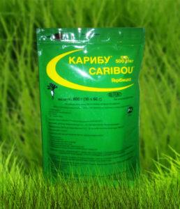 คำแนะนำในการใช้และส่วนประกอบของสารกำจัดวัชพืช Caribou ขนาดยาและสารที่คล้ายกัน
