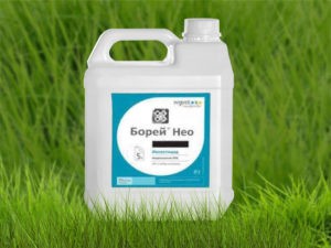 คำแนะนำในการใช้และส่วนประกอบของสารกำจัดวัชพืช Neo ขนาดยาและสารที่คล้ายกัน