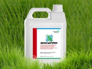 คำแนะนำในการใช้และส่วนประกอบของสารกำจัดวัชพืช Disulam ปริมาณและสารประกอบที่คล้ายกัน