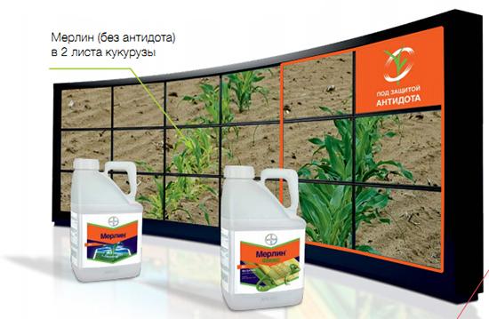 สารกำจัดวัชพืชเมอร์ลิน