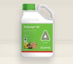 คำแนะนำในการใช้และส่วนประกอบของสารกำจัดวัชพืช Racer ปริมาณและสารที่คล้ายกัน