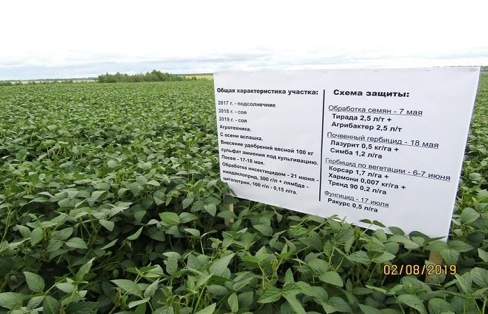 ตารางข้อมูล