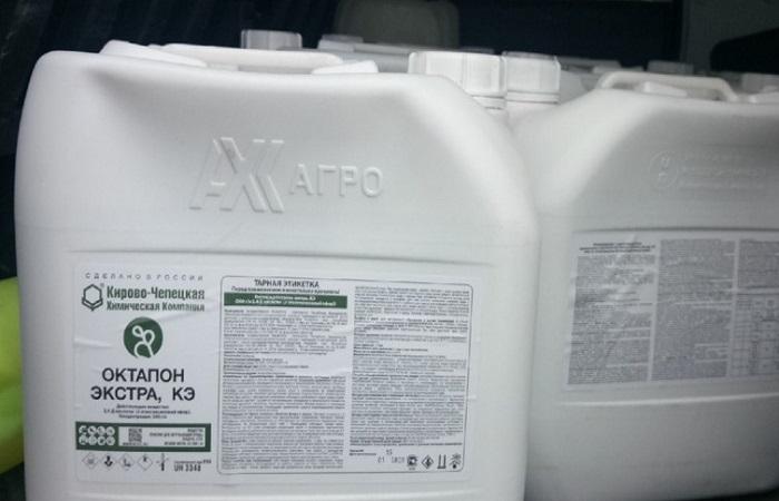 อ็อกตาปอนเสริม