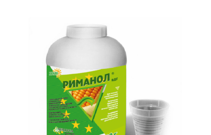 บรรจุภัณฑ์ขนาดใหญ่