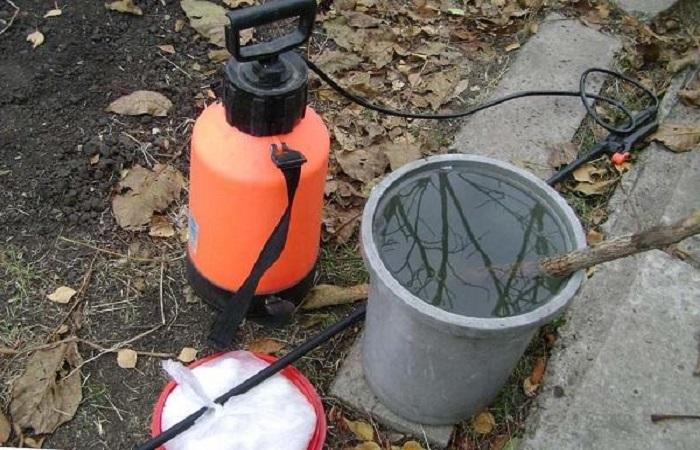 การหลอกลวง