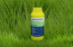 คำแนะนำในการใช้และส่วนประกอบของสารกำจัดวัชพืชเซนทูเรียน ปริมาณและสารคล้ายสารกำจัดวัชพืช