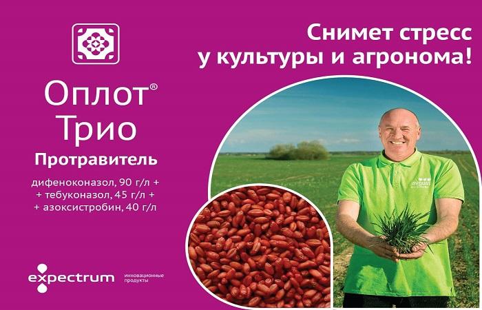 ป้อมปราการสามแห่ง