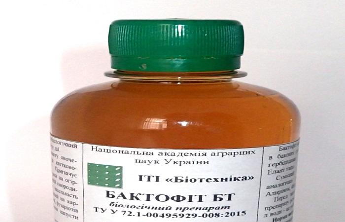 ส่วนหนึ่งของขวด