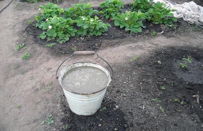 mélange développé