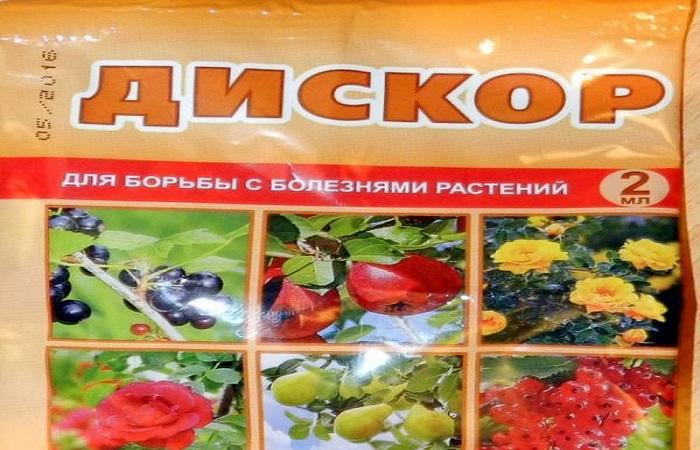 บรรจุภัณฑ์ด้วยผง