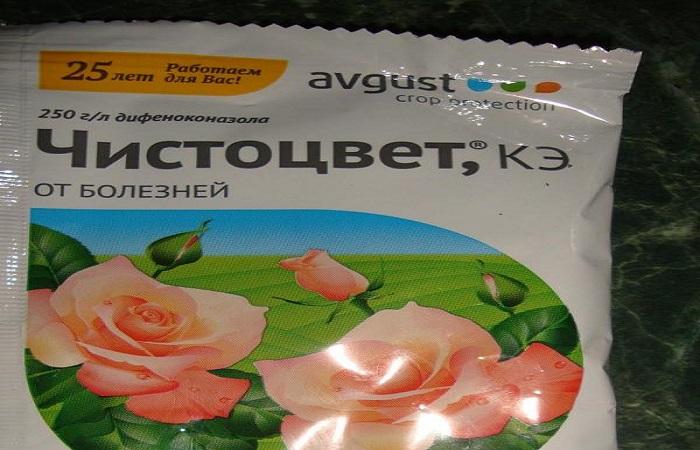 Chistotsvet เป็นอะนาล็อก