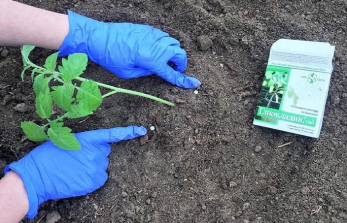 วางยาออกไป