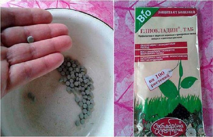 การแสดงออกของส่วนผสม